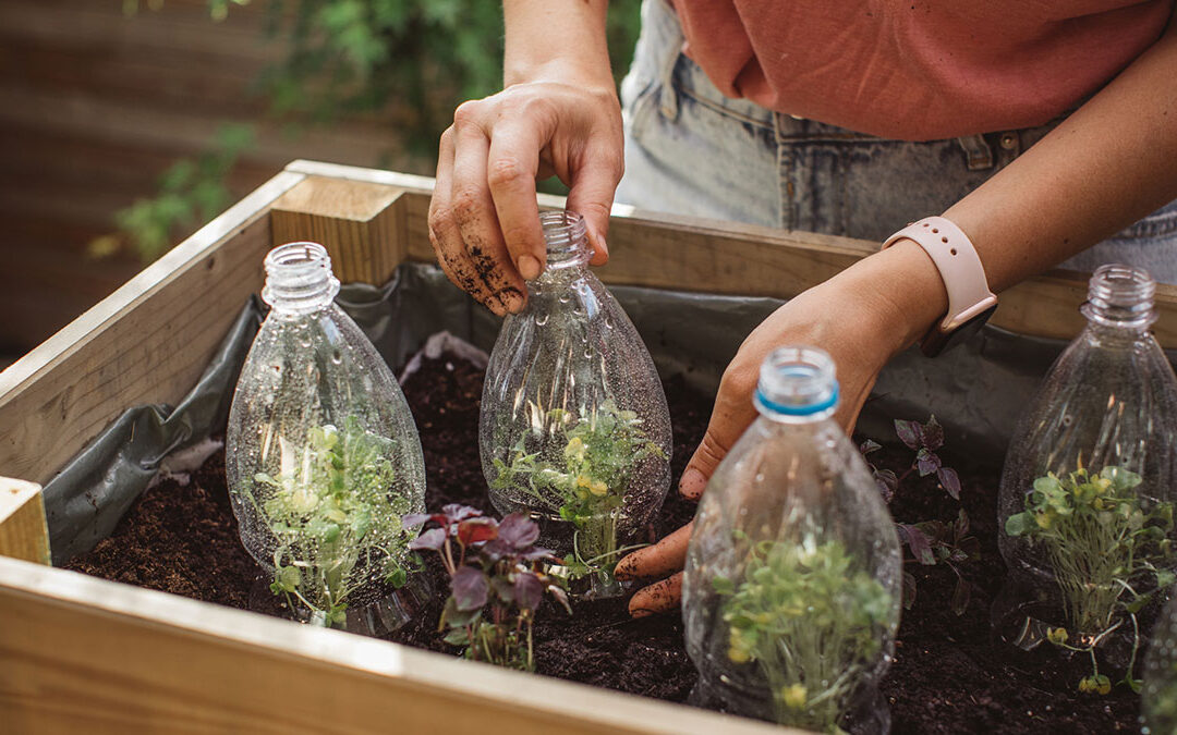 Cuidemos el medio ambiente siendo consumidores responsables